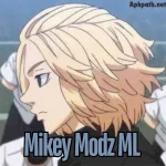 Mikey Modz ML