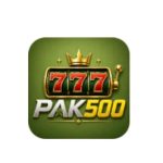 Pak500 Game app interface showing earning dashboard and wallet