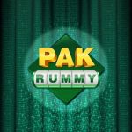 Pak Rummy Game APK 2026 Android Card Game Interface